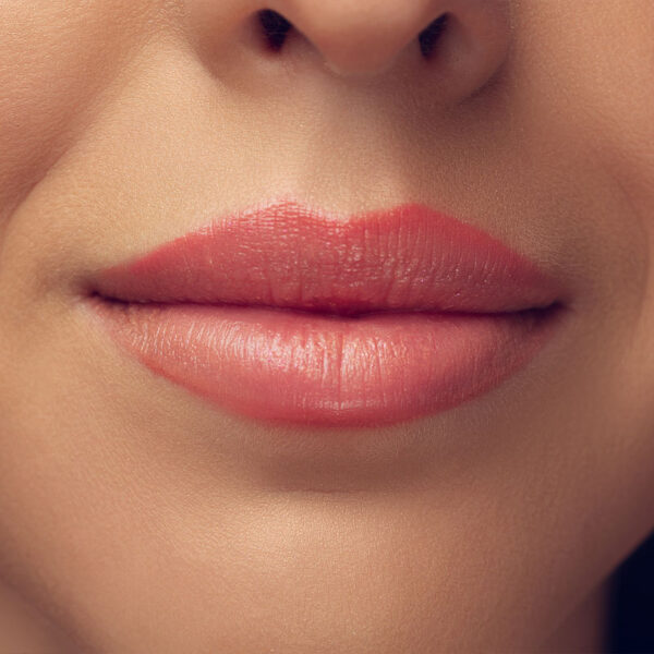 Labios fuzzy completo